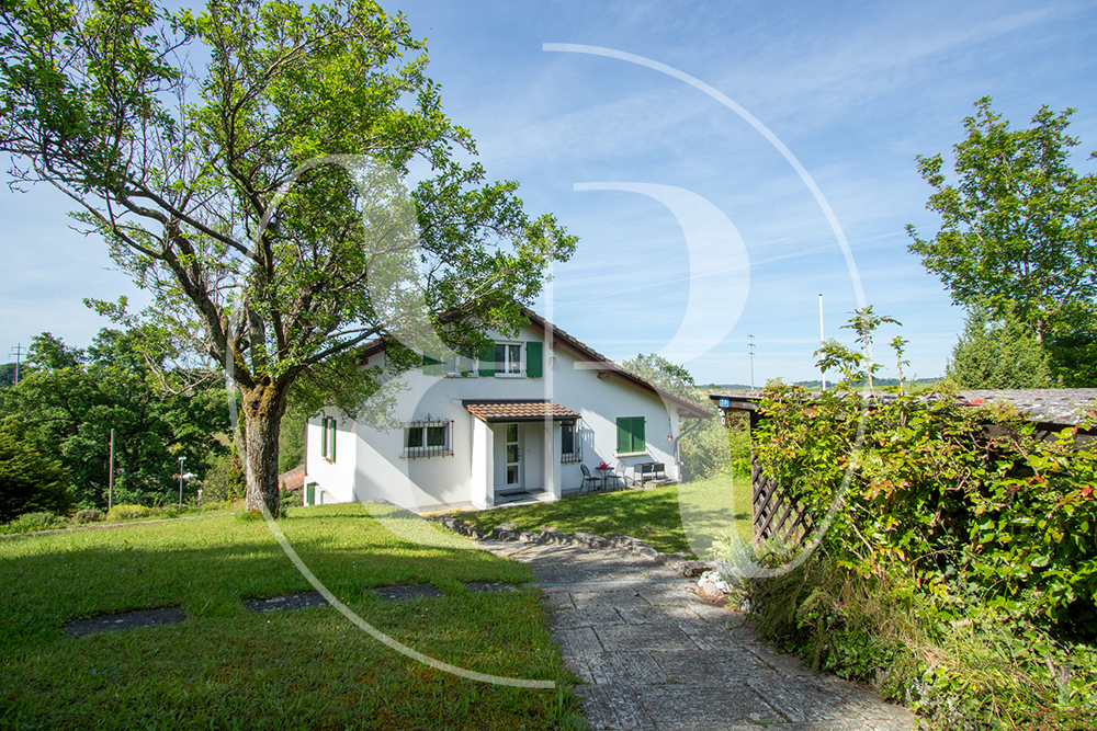 Einfamilienhaus Düdingen